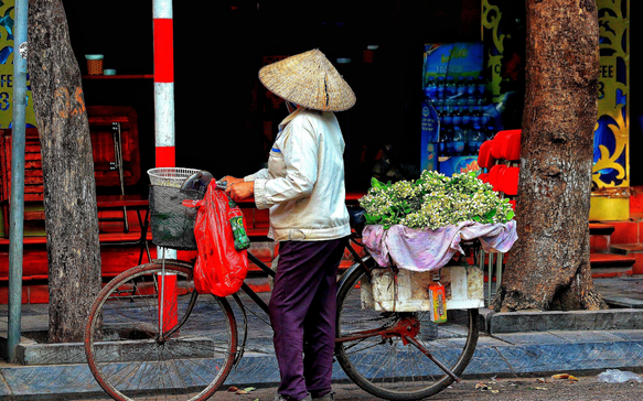 Gallery 7 VIETNAM.png