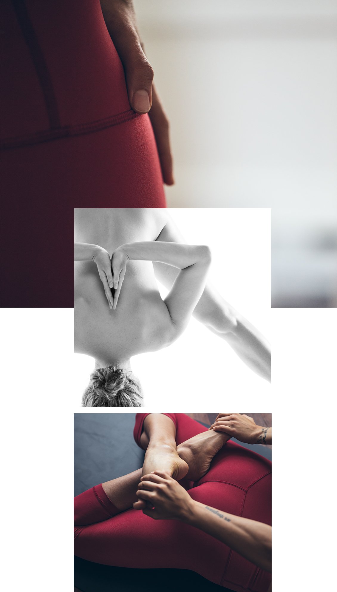 imagecomponent02_alignpant_newsite.jpg