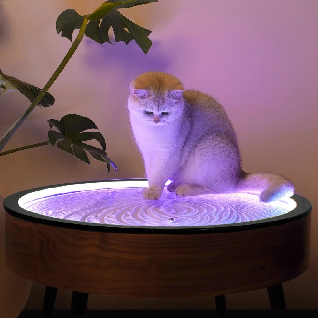 cat on table with glass.jpg