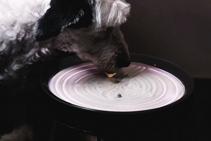 Sequence 01.gif
