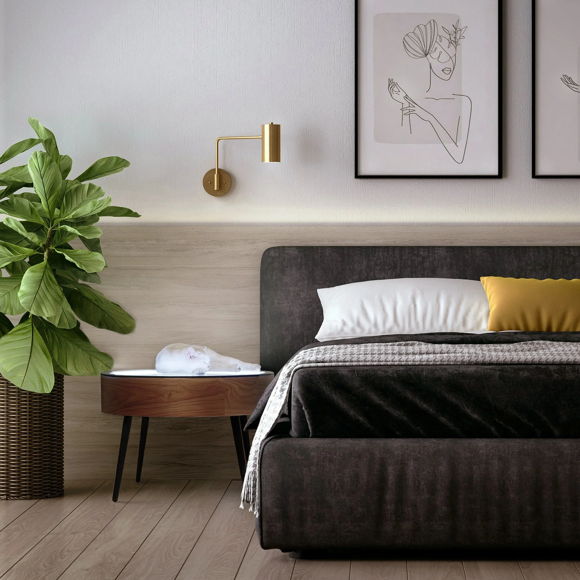 cat in room 1920x1920.jpg