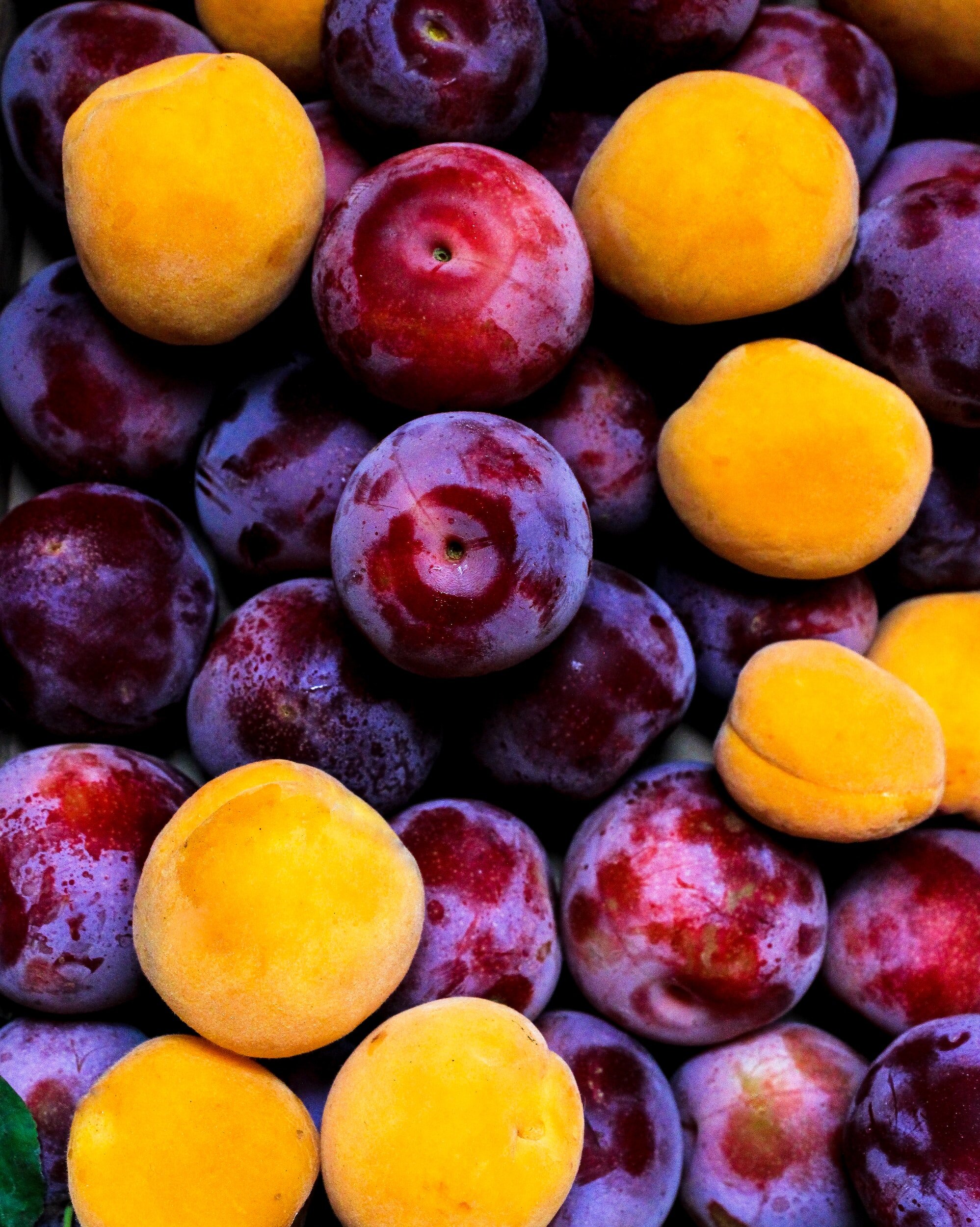 What are pluots and apriums? — Real World Nutrition