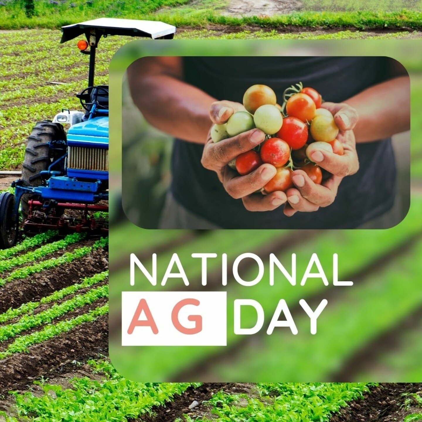 🚜 Today marks National Ag Day, a time to reflect on the incredible efforts of those who work daily to provide us with the food we enjoy daily. 

🚜From the farmers in the field land to the agricultural scientists pioneering new techniques, each indi