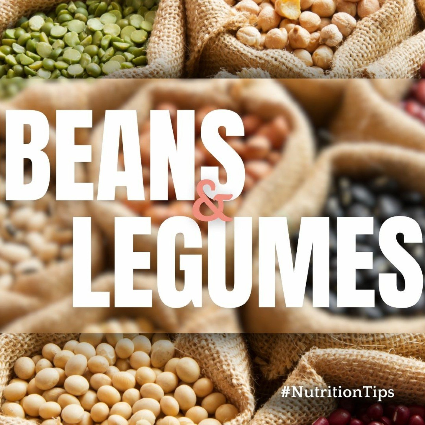 🫘Beans and legumes are nutritional powerhouses that deserve a spot in your daily diet!

🫘These versatile foods are rich in protein, making them an excellent option for plant-based and meat-eaters. 

🫘They also provide dietary fiber, which is cruci