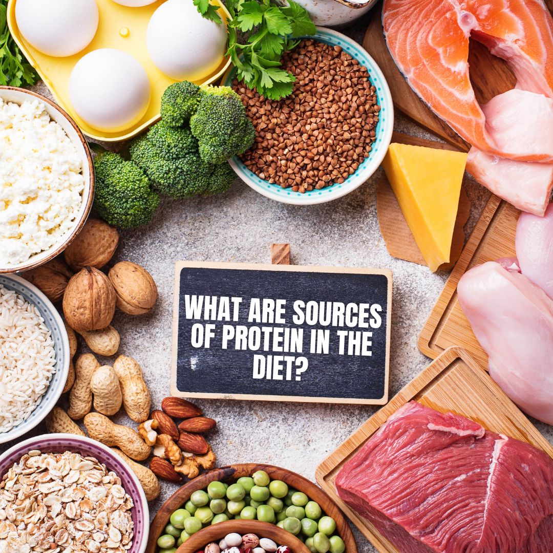 What Are Sources of Protein in the Diet?