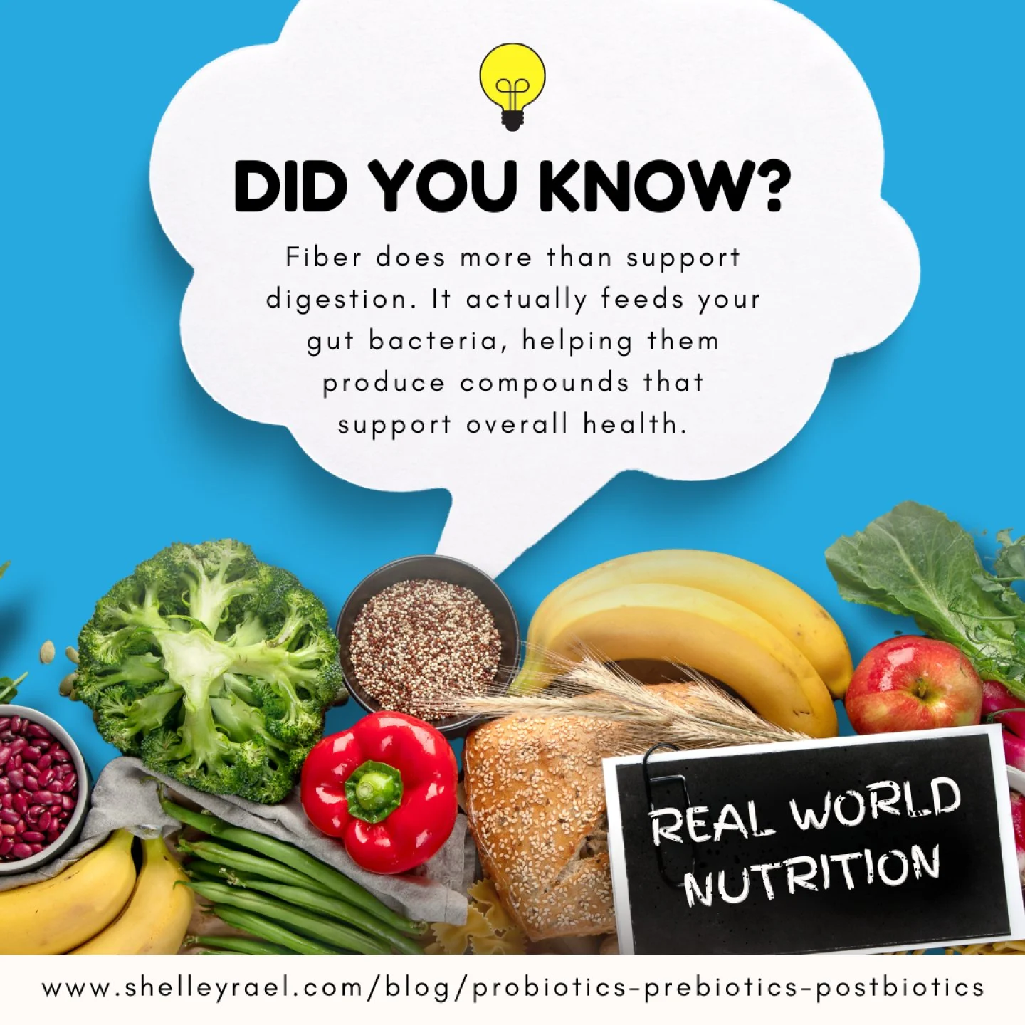 Probiotics tend to get all the attention when it comes to gut health.
But they are only one part of the picture.
There are also prebiotics, which feed the bacteria already in your gut. And postbiotics, which are the compounds those bacteria produce. 