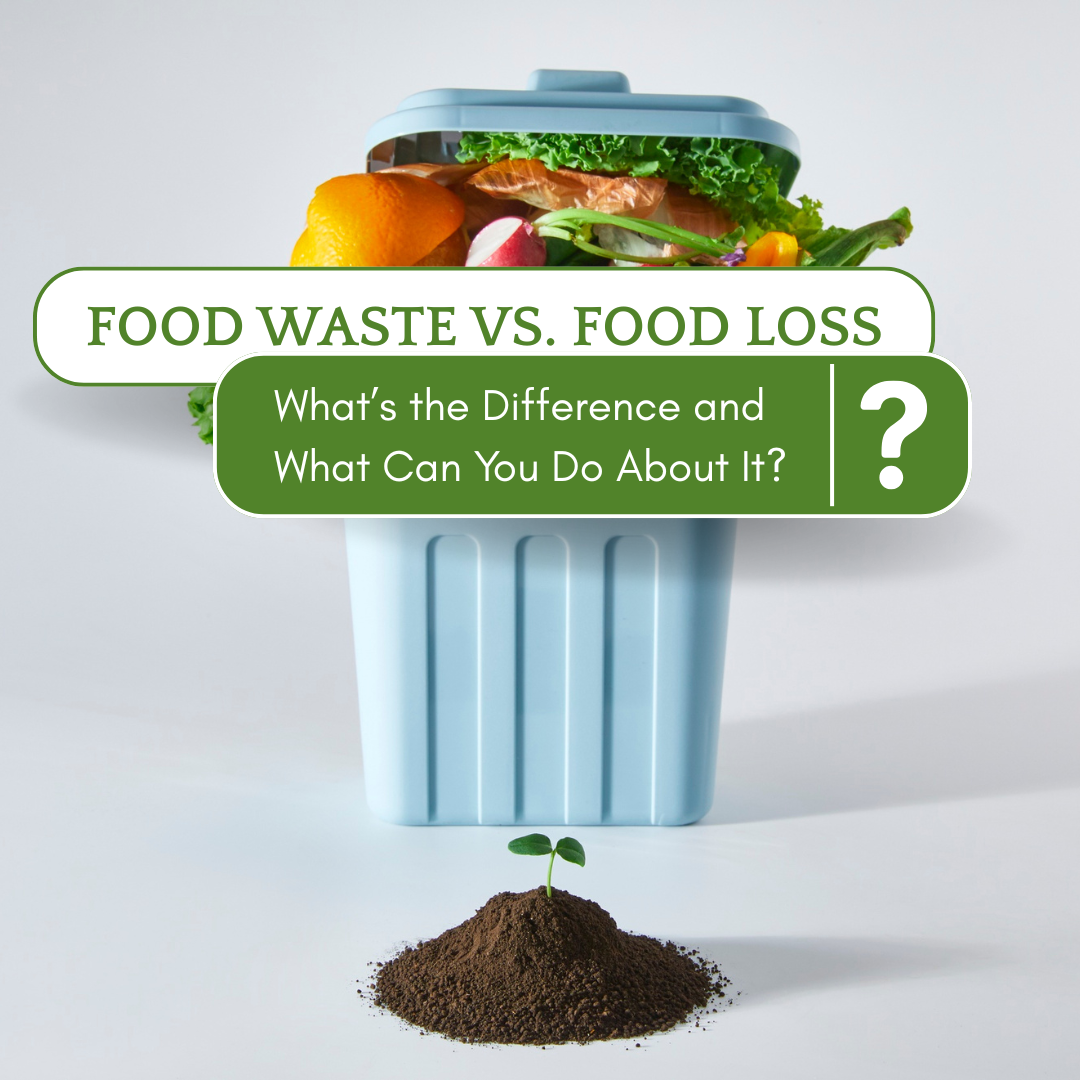 Food Waste vs Food Loss: What’s the Difference and What Can You Do About It?