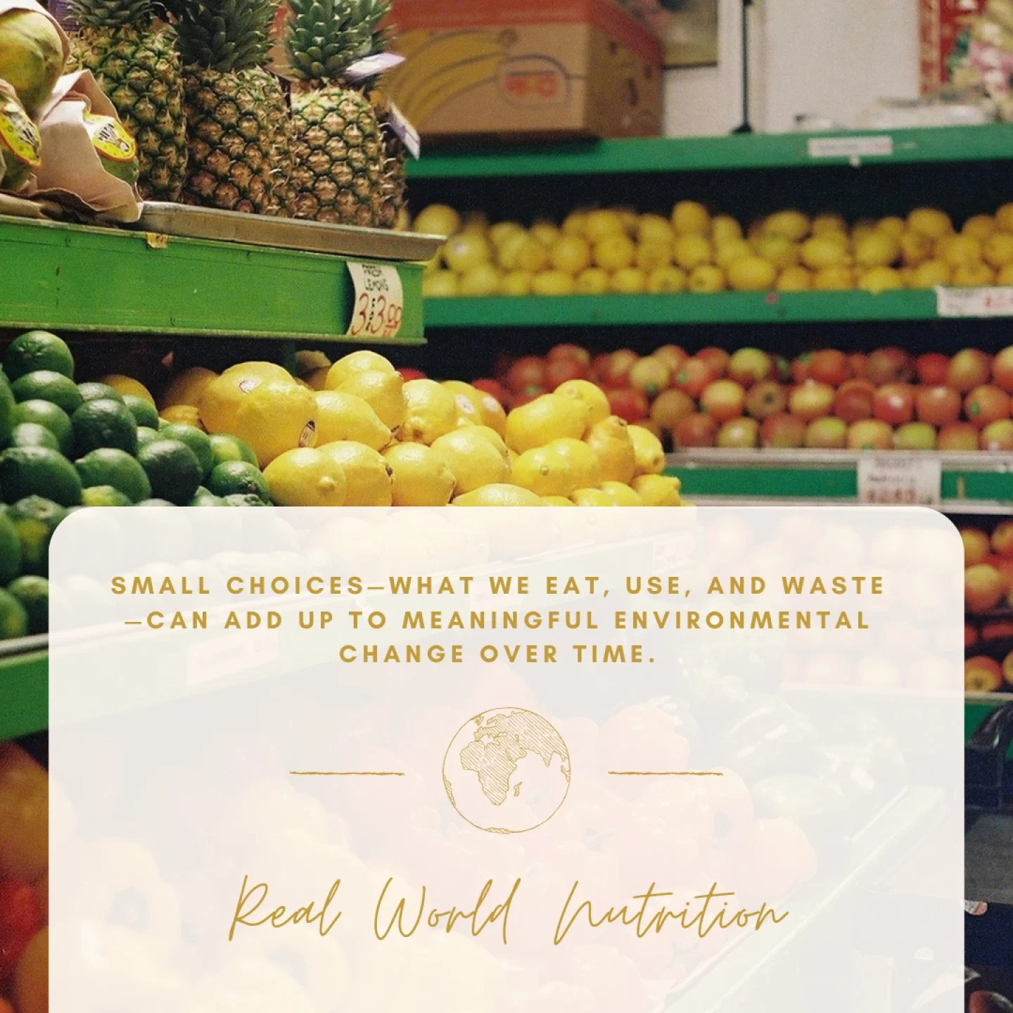 Earth Day brings attention to environmental issues, but the impact does not stop when the day is over.
Sustainability is often shaped by daily habits. Food choices, how food is stored, and how much is wasted all play a role. Planning meals, using lef