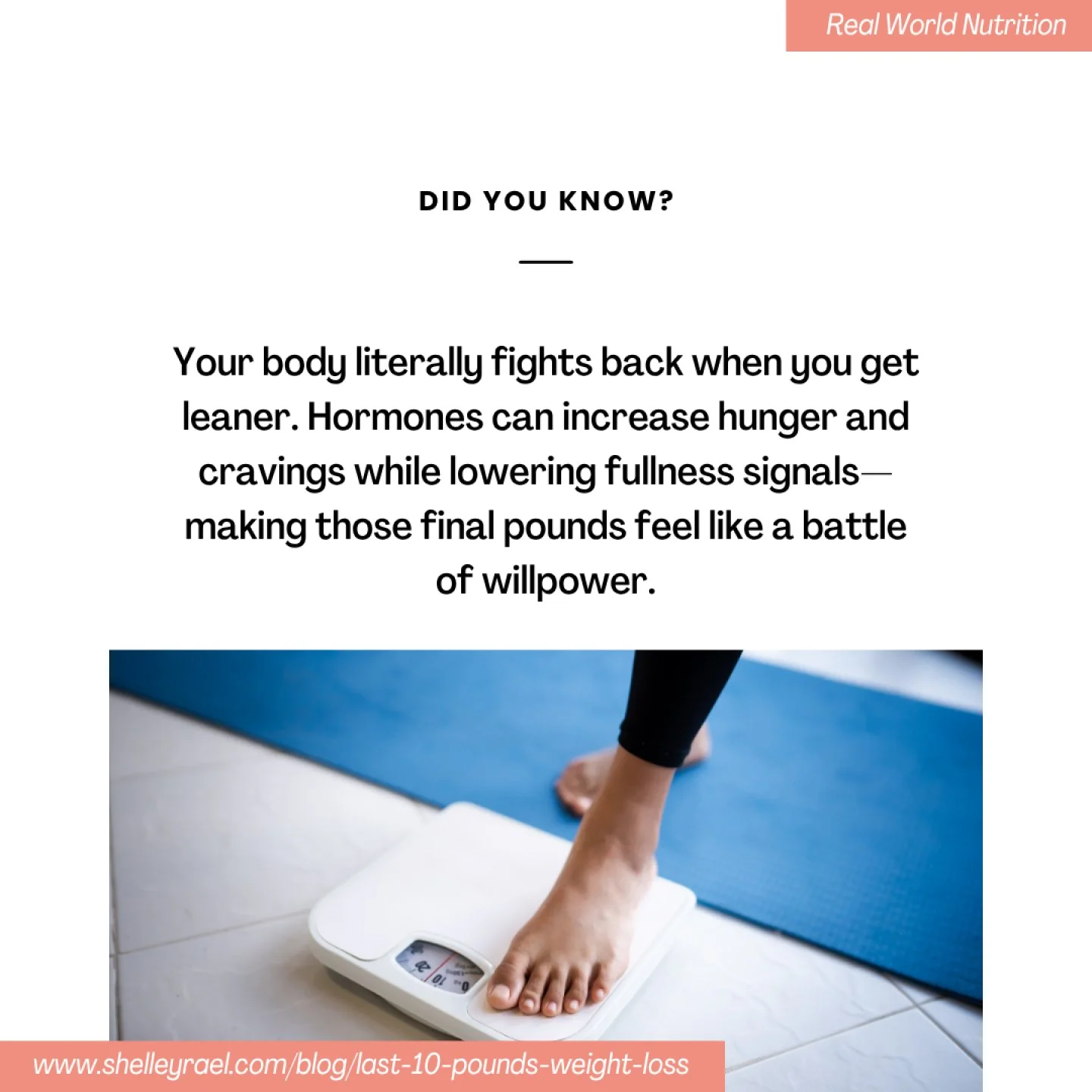 &ldquo;Just 10 pounds.&rdquo;
It&rsquo;s one of the most common things I hear. The first 10 pounds. The last 10 pounds. Another 10 pounds.
But what is it about that number? And what actually changes when it&rsquo;s gone?
In many cases, the focus rema