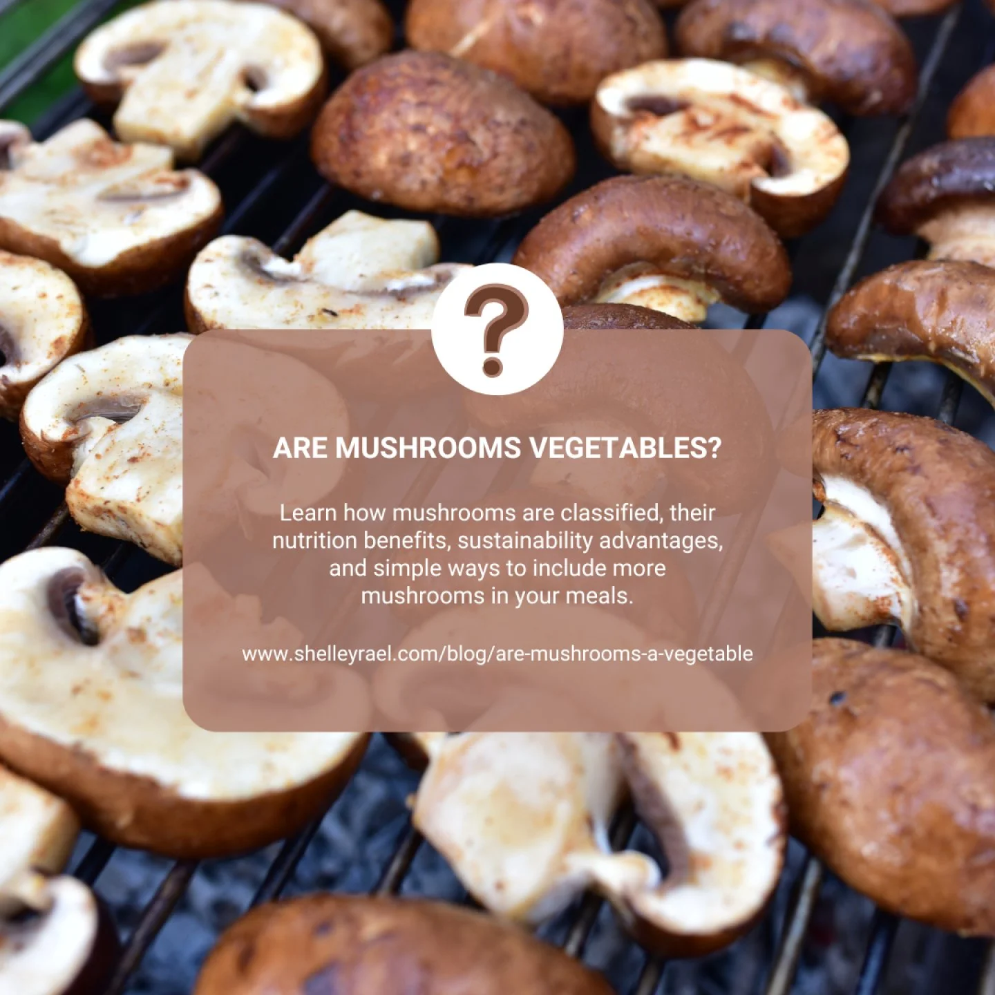 Are mushrooms vegetables?
It turns out the answer is a little more complicated than many people realize.
While mushrooms are commonly grouped with vegetables for nutrition and meal planning purposes, they are technically fungi and belong to their own