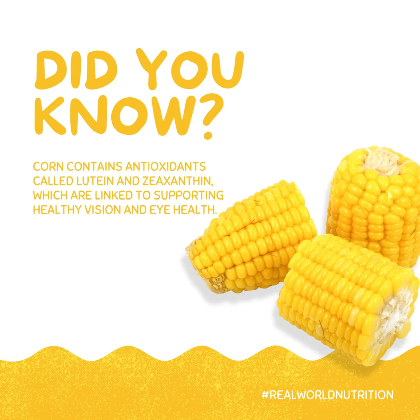 Corn is one of those foods that often gets caught in nutrition debates, but it is worth taking a closer look at what it actually provides.
Corn is a source of carbohydrates, which serve as the body&rsquo;s preferred fuel source. It also contains fibe
