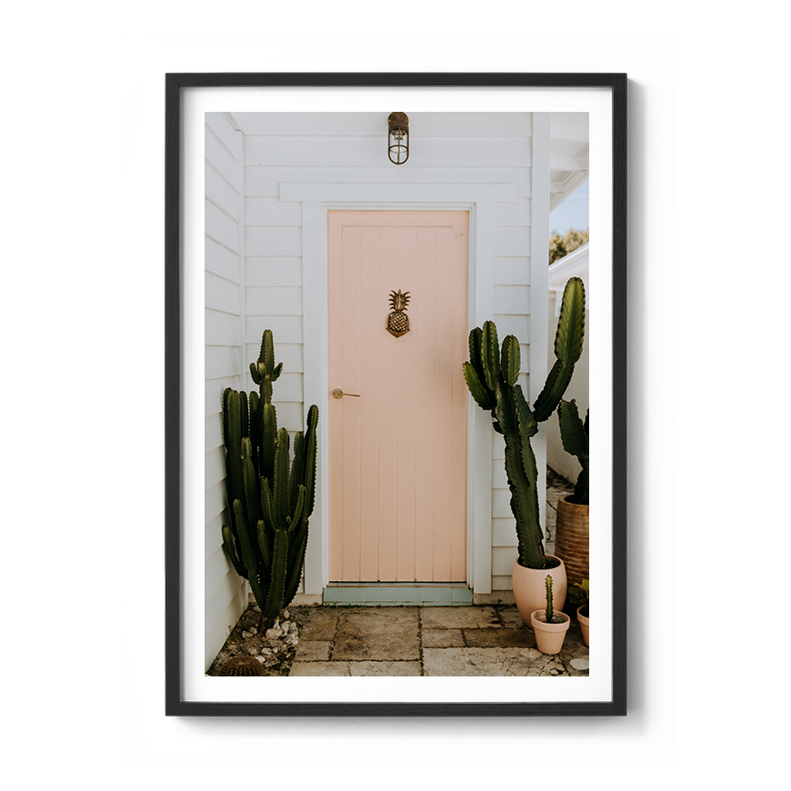 bilinga gold coast cactus coastal wall art photography prints