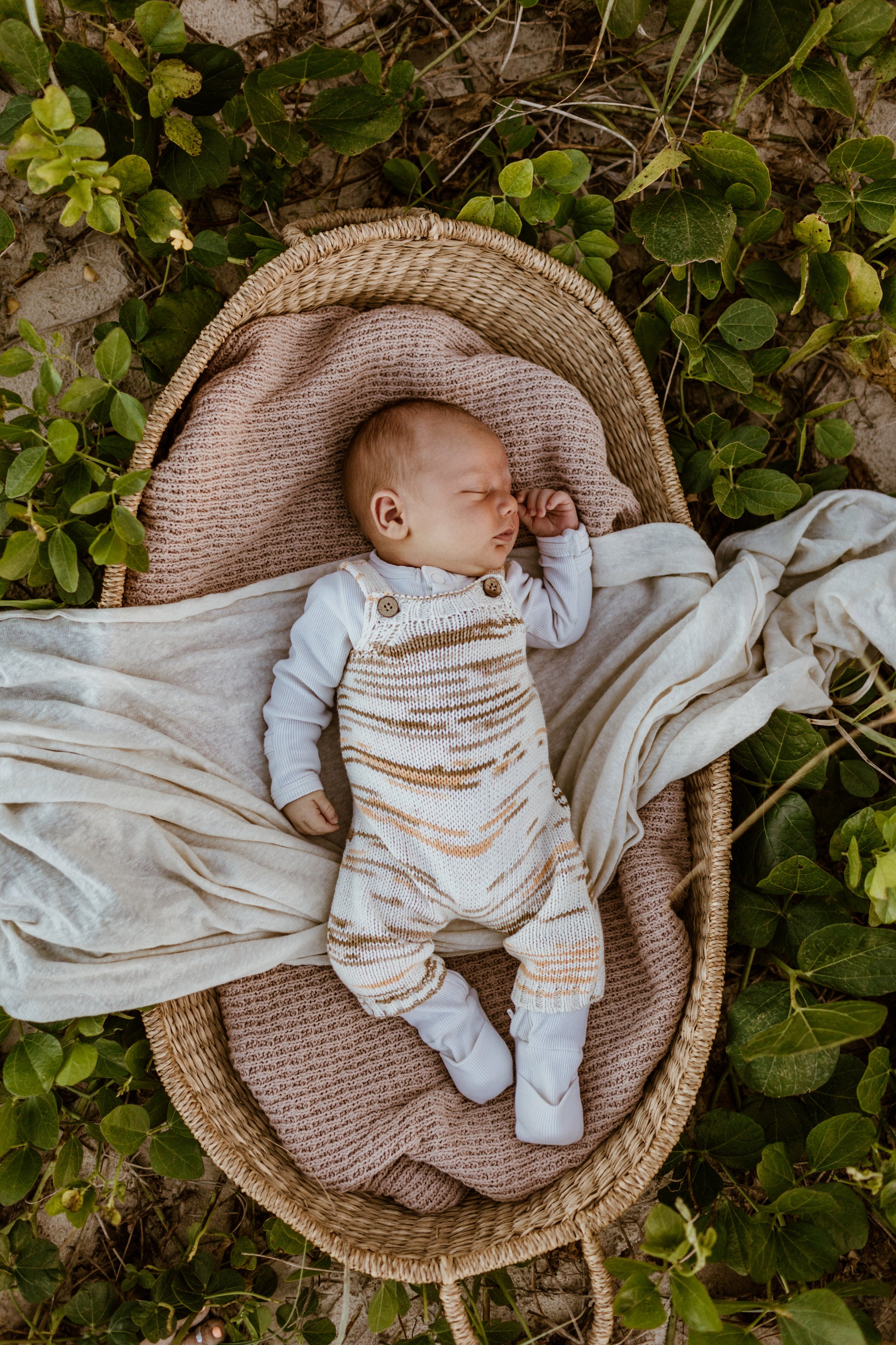 newborn baby in basket on gold coast beach