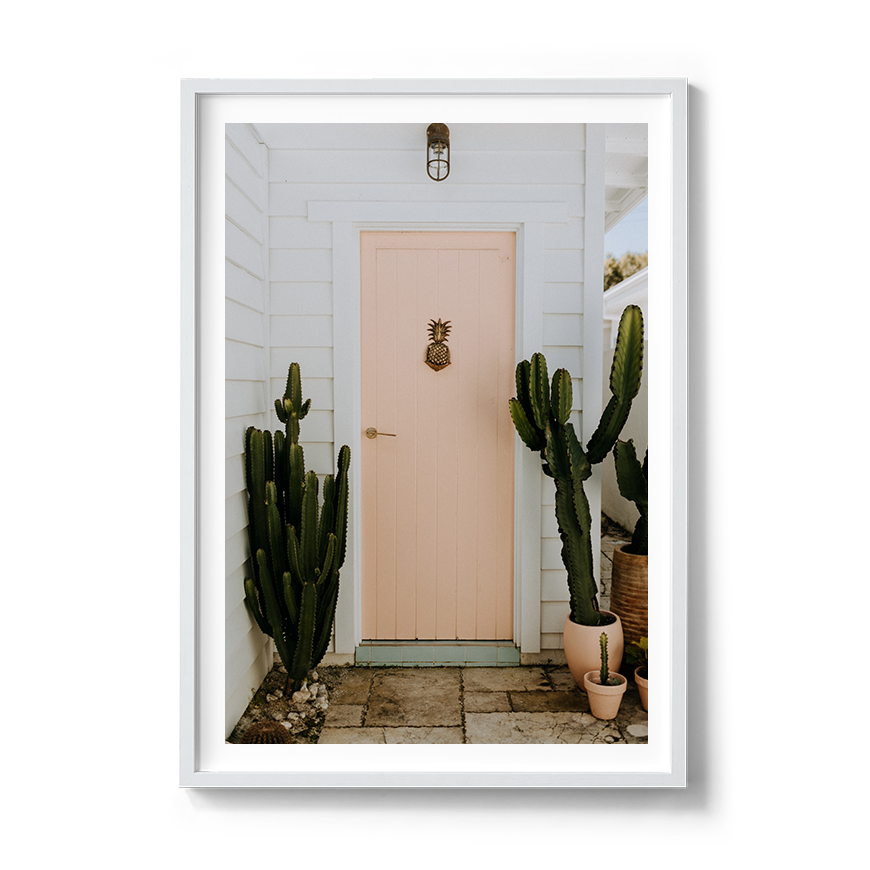 bilinga gold coast cactus coastal wall art photography prints