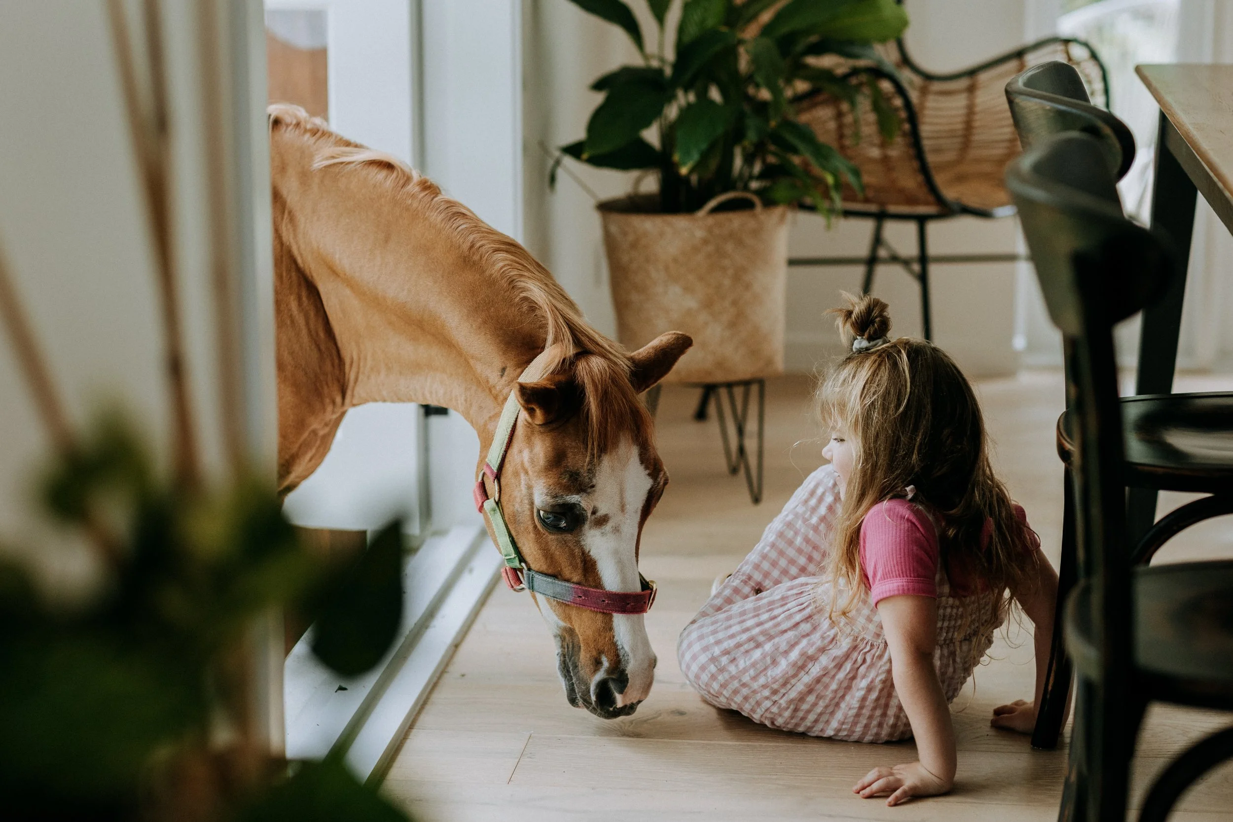 girl with horse family
