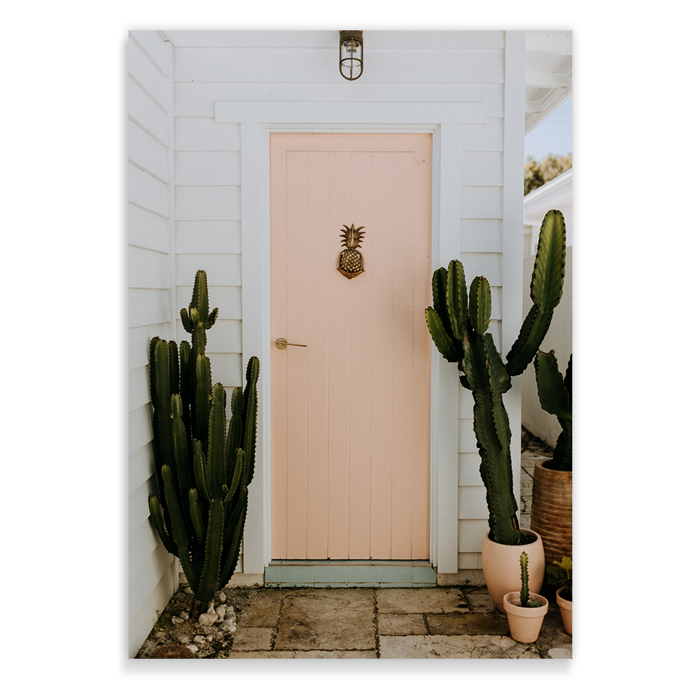 bilinga gold coast cactus coastal wall art photography prints