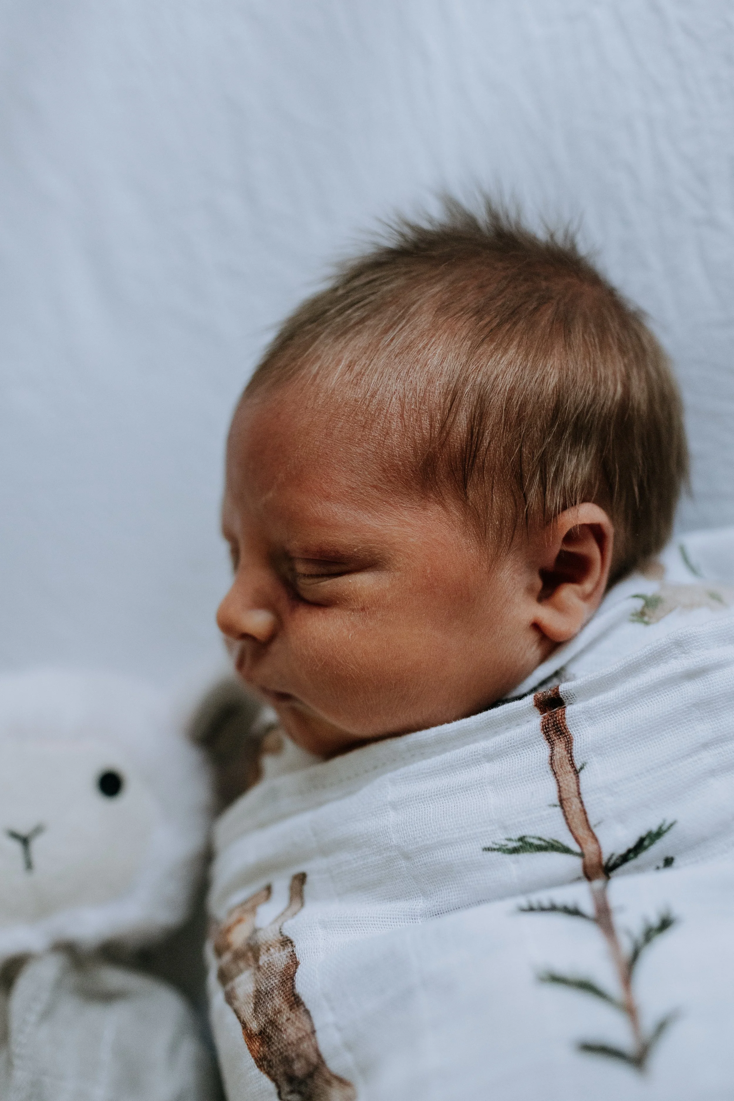 newborn baby boy photos gold coast