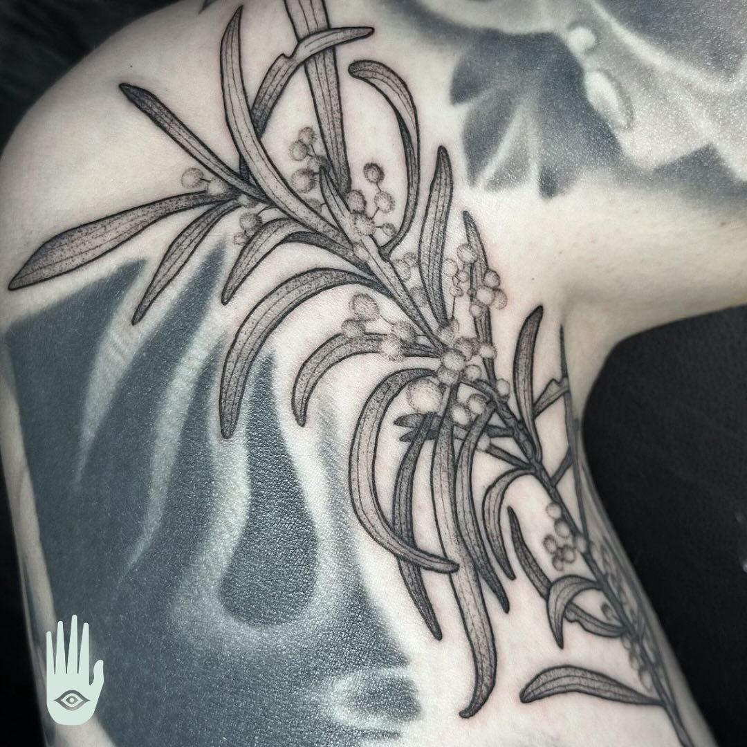 @bobbiedazzlertattoo has some time in the next couple weeks! Who wants some wattle!?

Beautiful tattoo for a beautiful client 😍