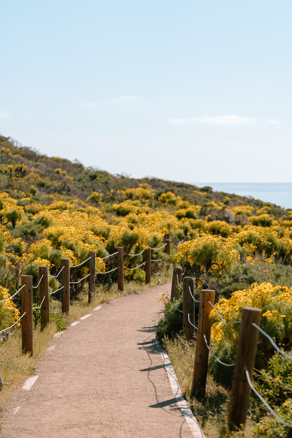 Point Dume Nature Preserve_Proposal_Brennan + Rachel_Melissa Rae Photography-2.jpg