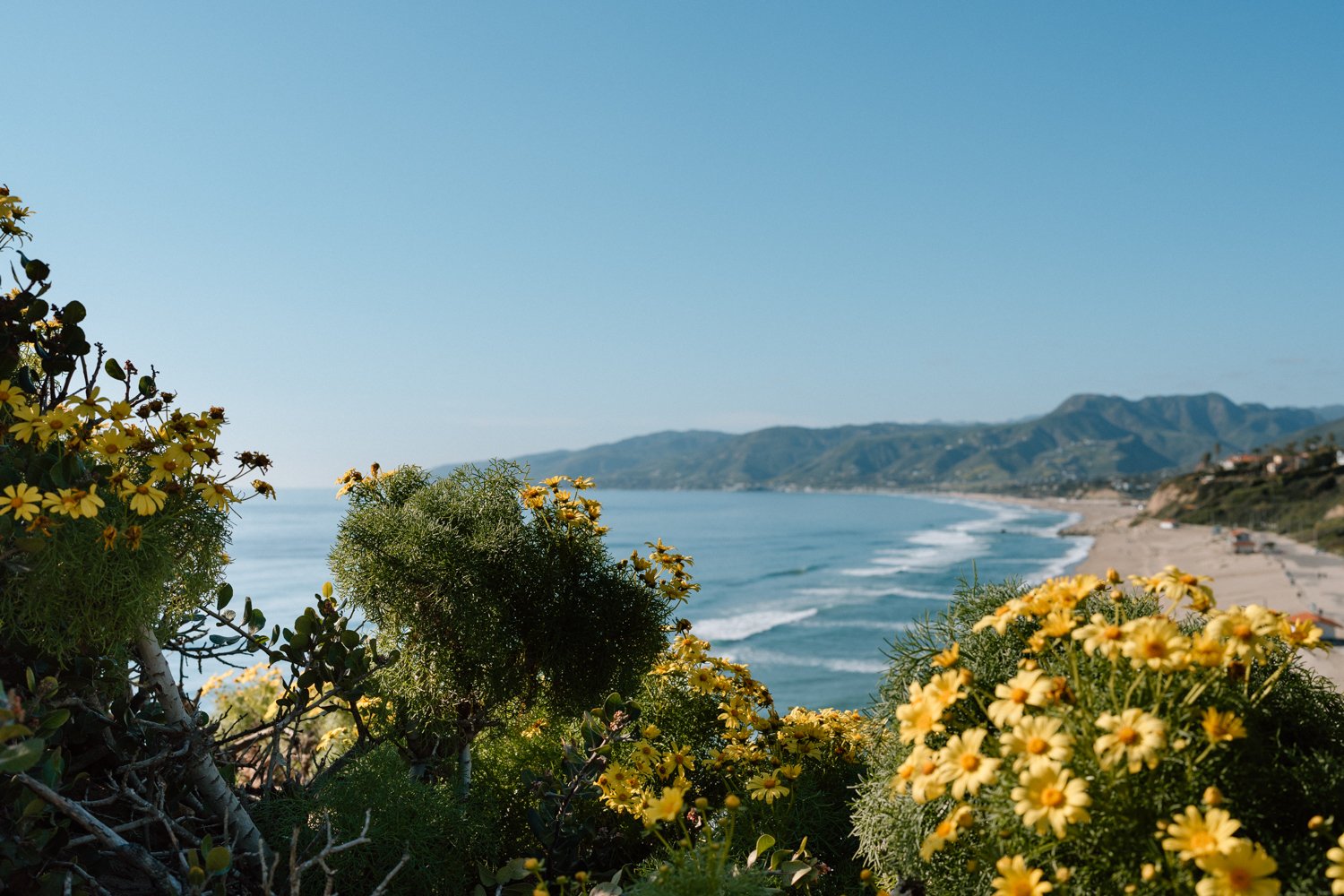 Point Dume Nature Preserve_Proposal_Brennan + Rachel_Melissa Rae Photography-31.jpg