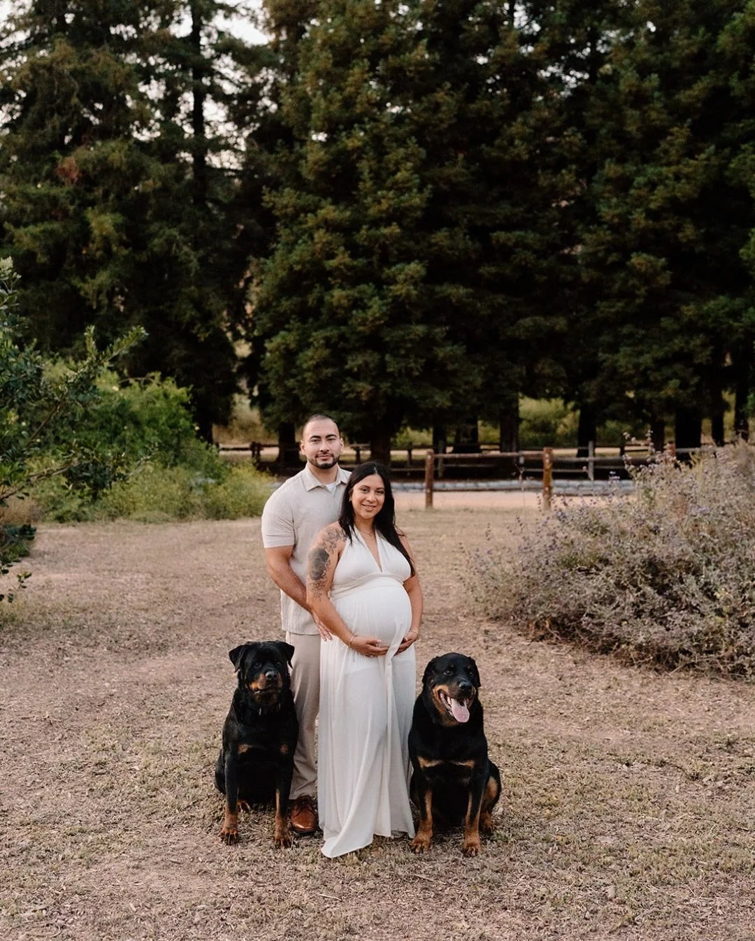 Bring your dog(s) to your shoot&hellip; that&rsquo;s all ;)