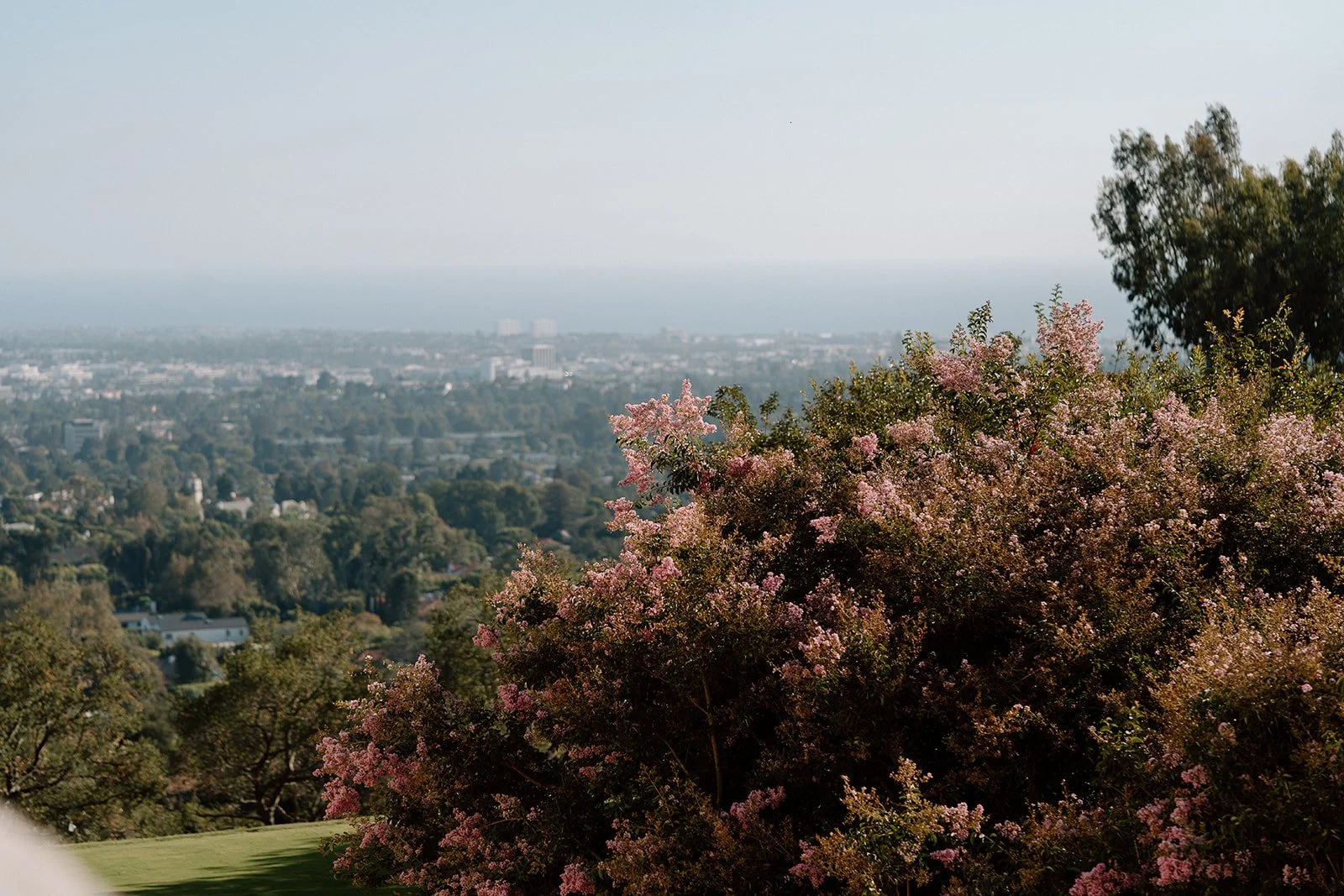 Rohan + Ritika_Proposal_The Getty_25.09.30_Melissa Rae Photography-5.jpg
