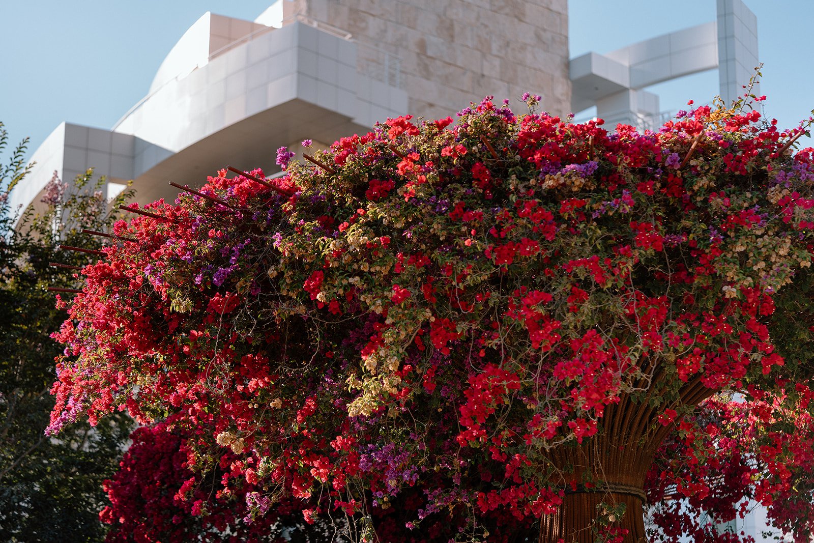 Rohan + Ritika_Proposal_The Getty_25.09.30_Melissa Rae Photography-42.jpg