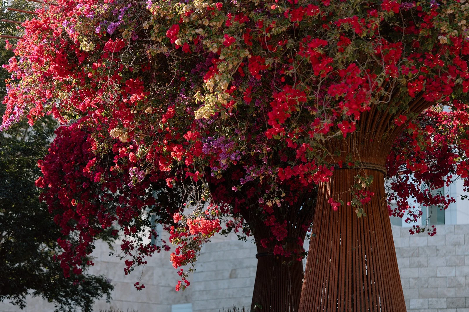 Rohan + Ritika_Proposal_The Getty_25.09.30_Melissa Rae Photography-44.jpg