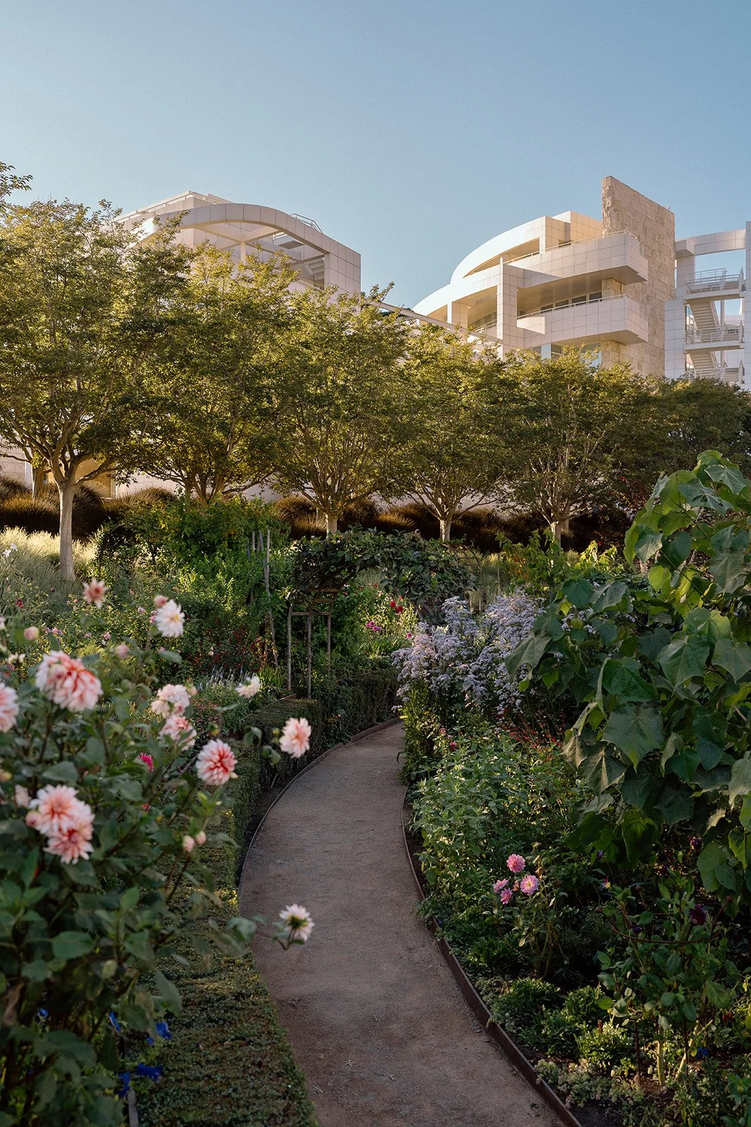 Rohan + Ritika_Proposal_The Getty_25.09.30_Melissa Rae Photography-55.jpg