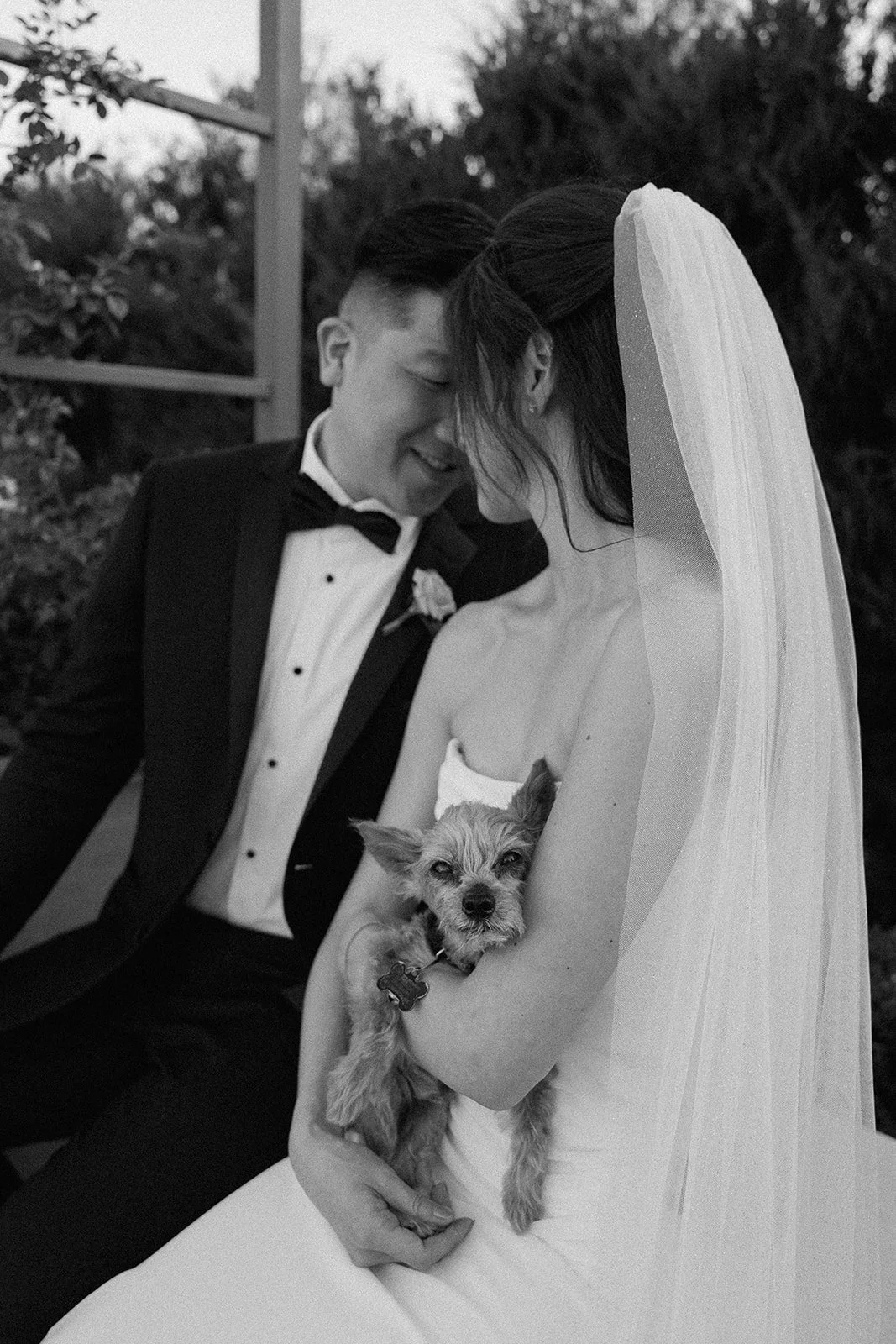 Iris and Sam_Wedding_Tuscan Rose Ranch - Santa Paula_25.06.07_Melissa Rae Photography-283.jpg