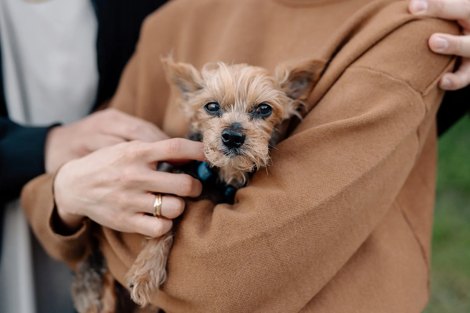 Iris + Sam_Engagement_Griffith Park_25.03.25_Melissa Rae Photography-12.jpg