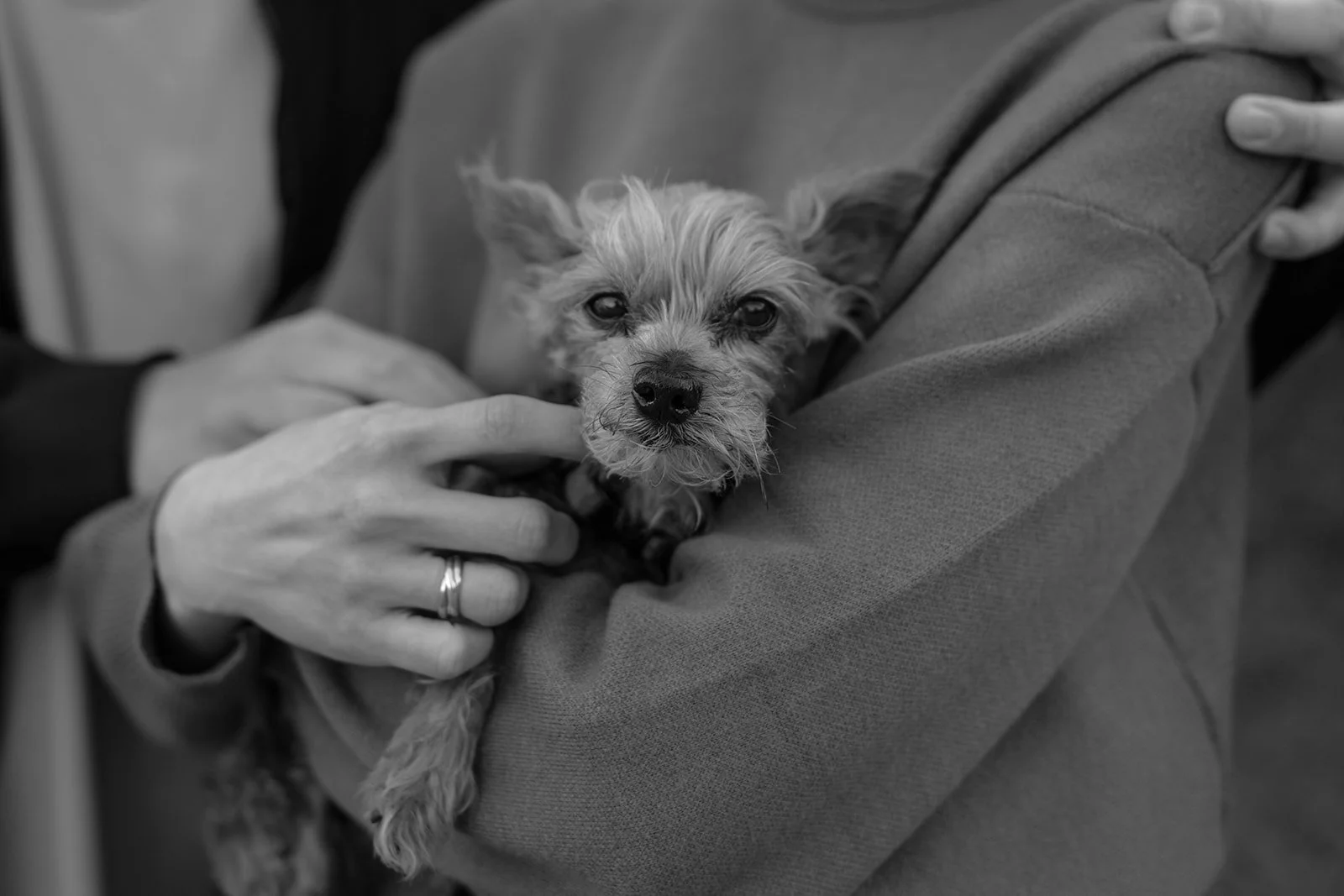 Iris + Sam_Engagement_Griffith Park_25.03.25_Melissa Rae Photography-13.jpg