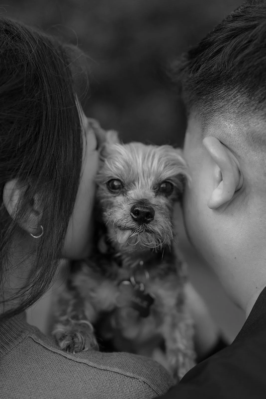 Iris + Sam_Engagement_Griffith Park_25.03.25_Melissa Rae Photography-24.jpg