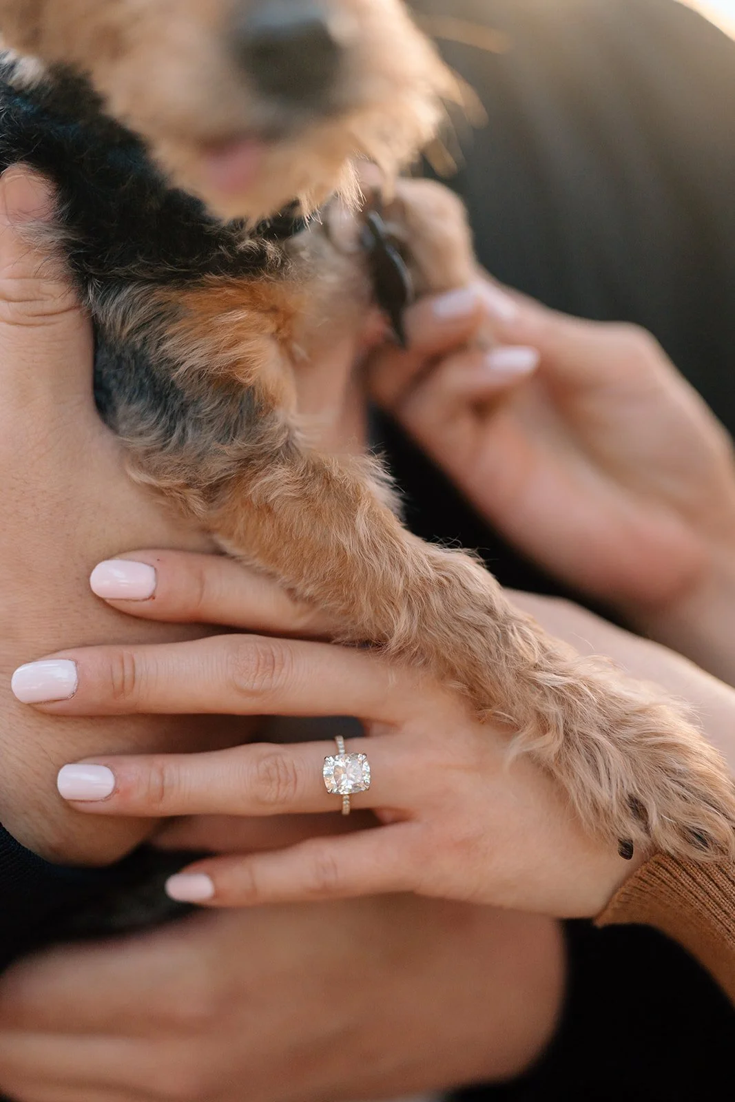 Iris + Sam_Engagement_Griffith Park_25.03.25_Melissa Rae Photography-50.jpg