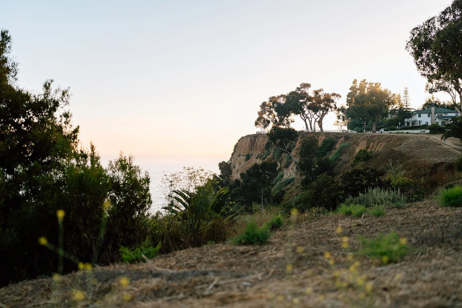 Palisades Proposal_Ben + Grant_Melissa Rae Photography-30.jpg