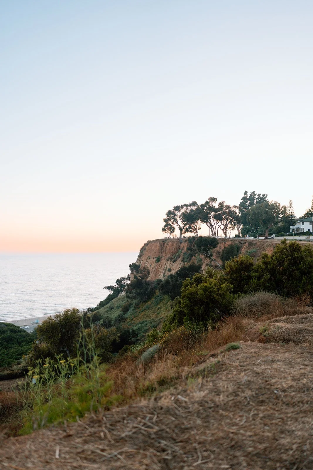 Palisades Proposal_Ben + Grant_Melissa Rae Photography-41.jpg