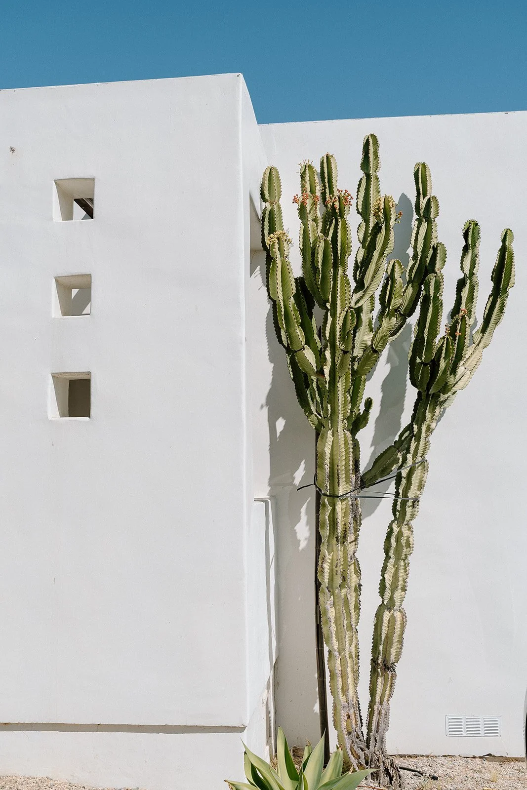 Emanuela + Josh_Wedding_Inn of the Seventh Ray_Topanga_25.10.04_Melissa Rae Photography-6.jpg