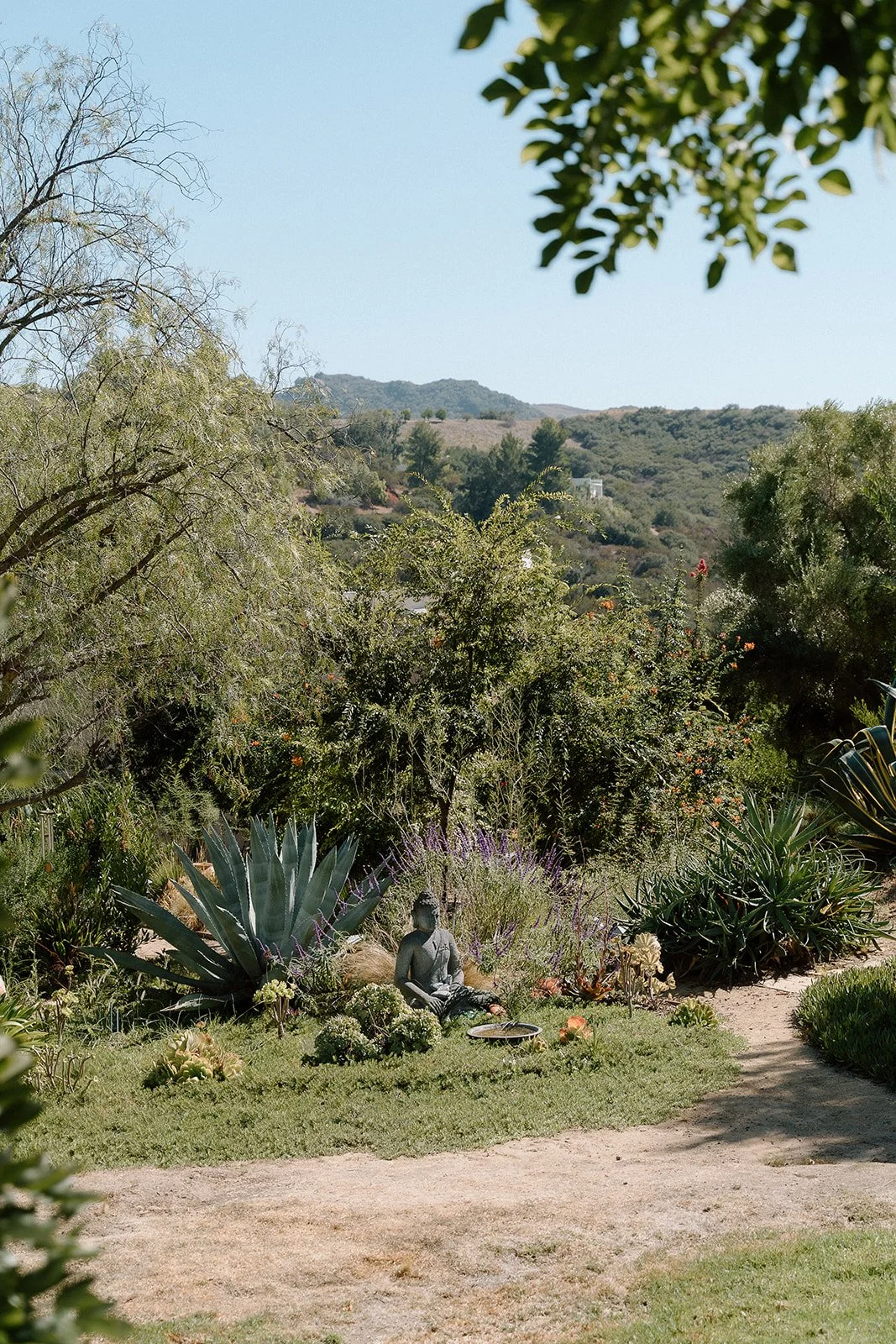 Emanuela + Josh_Wedding_Inn of the Seventh Ray_Topanga_25.10.04_Melissa Rae Photography-7.jpg