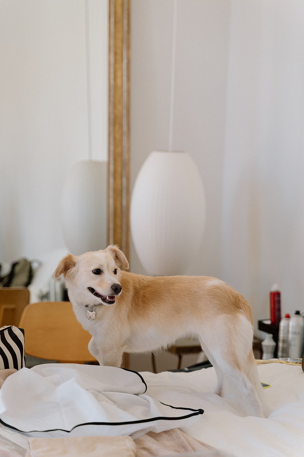 Emanuela + Josh_Wedding_Inn of the Seventh Ray_Topanga_25.10.04_Melissa Rae Photography-10.jpg