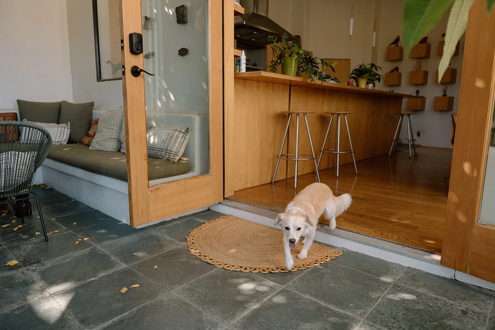 Emanuela + Josh_Wedding_Inn of the Seventh Ray_Topanga_25.10.04_Melissa Rae Photography-115.jpg