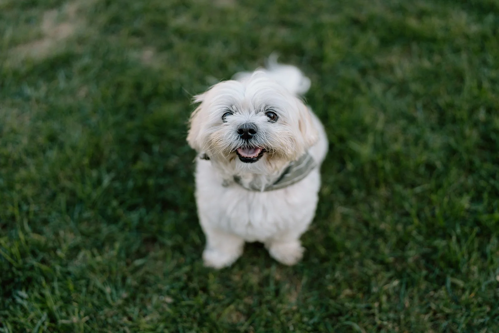 Amanda + Preston_Engagement_Santa Monica_25.11.23_Melissa Rae Photography-5.jpg