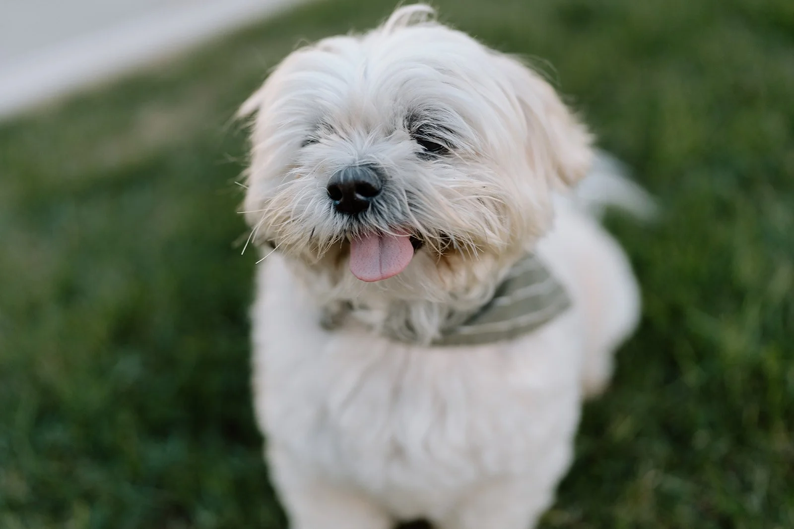 Amanda + Preston_Engagement_Santa Monica_25.11.23_Melissa Rae Photography-6.jpg