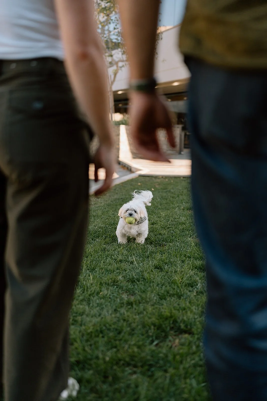 Amanda + Preston_Engagement_Santa Monica_25.11.23_Melissa Rae Photography-8.jpg