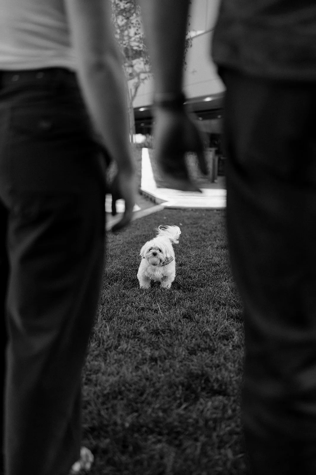 Amanda + Preston_Engagement_Santa Monica_25.11.23_Melissa Rae Photography-9.jpg