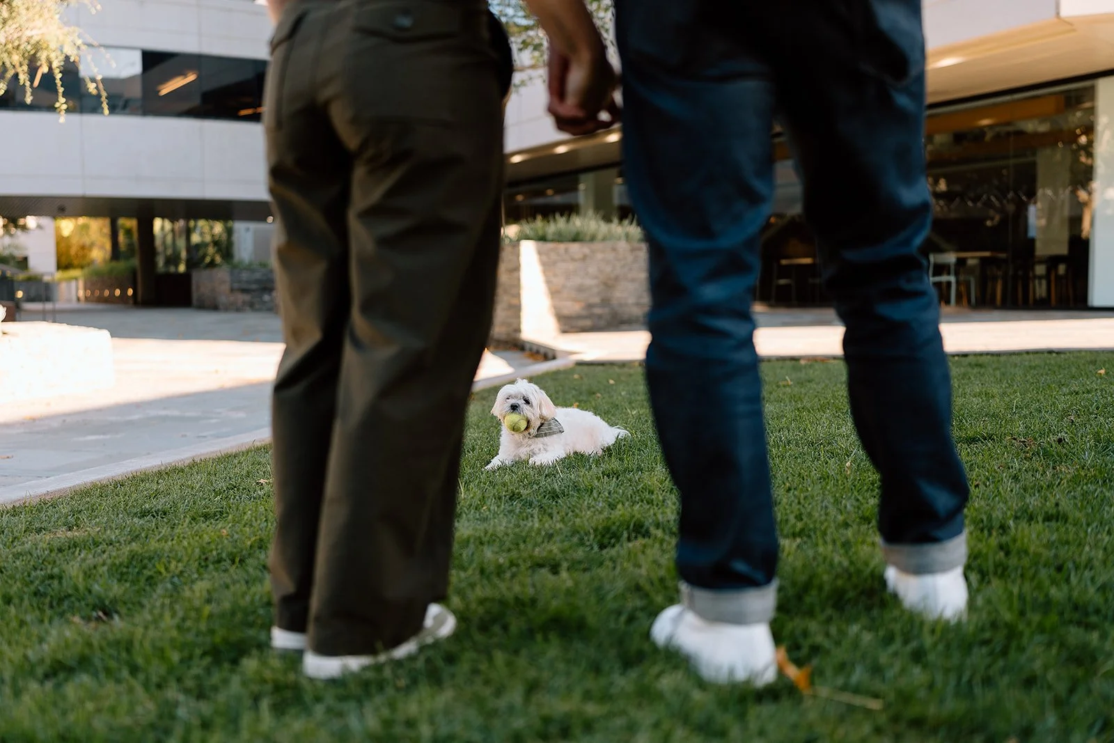Amanda + Preston_Engagement_Santa Monica_25.11.23_Melissa Rae Photography-10.jpg
