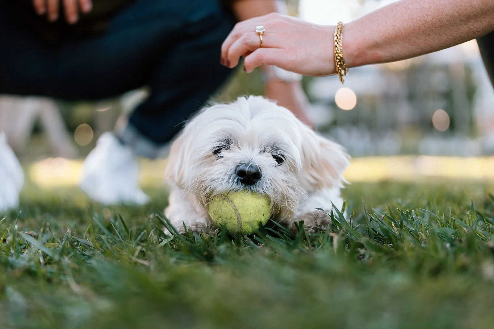 Amanda + Preston_Engagement_Santa Monica_25.11.23_Melissa Rae Photography-29.jpg