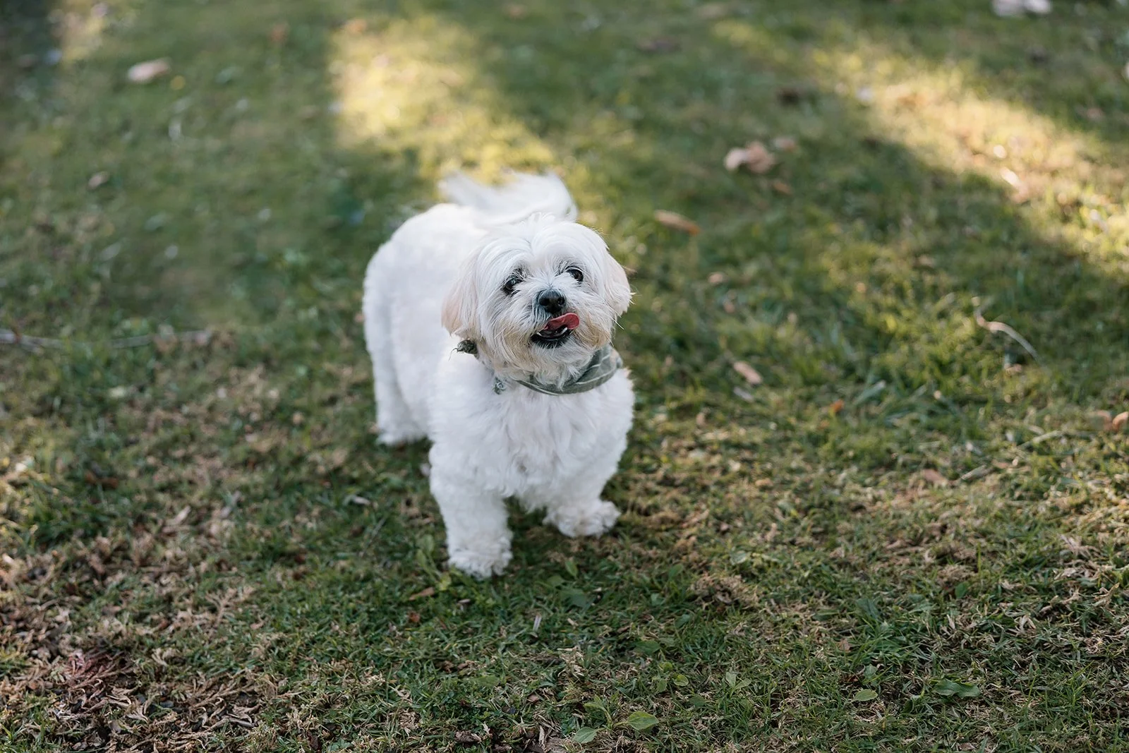 Amanda + Preston_Engagement_Santa Monica_25.11.23_Melissa Rae Photography-30.jpg