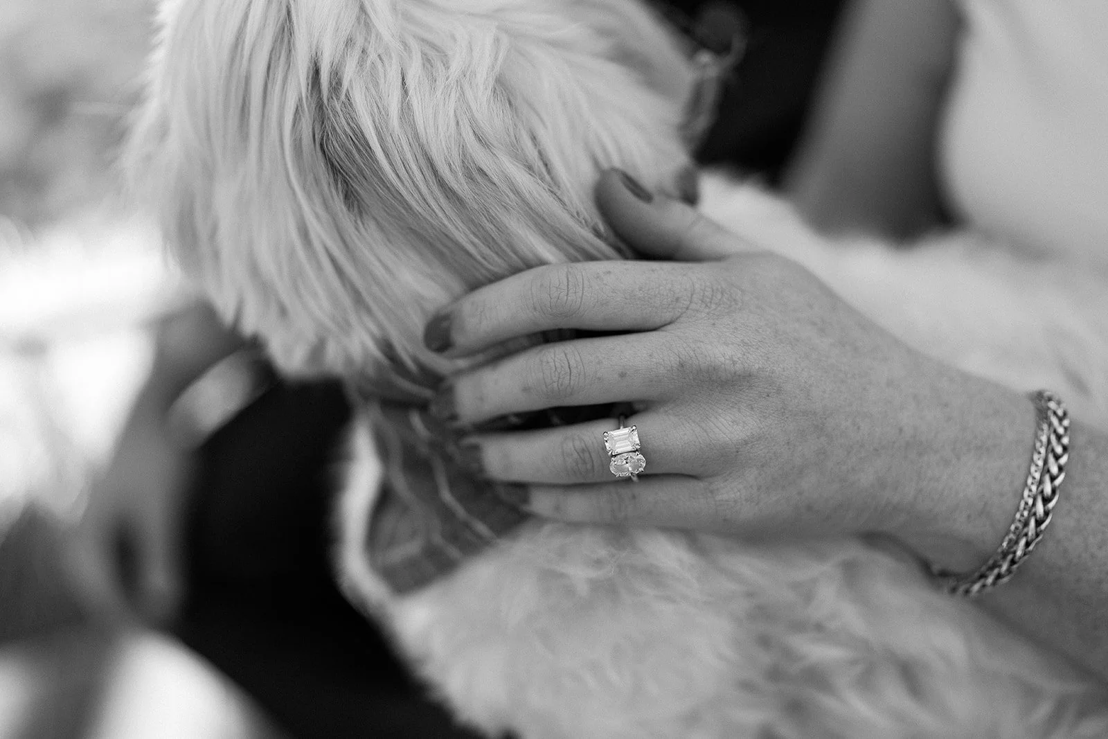 Amanda + Preston_Engagement_Santa Monica_25.11.23_Melissa Rae Photography-64.jpg