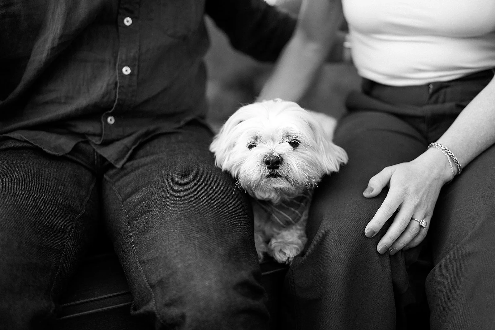 Amanda + Preston_Engagement_Santa Monica_25.11.23_Melissa Rae Photography-68.jpg