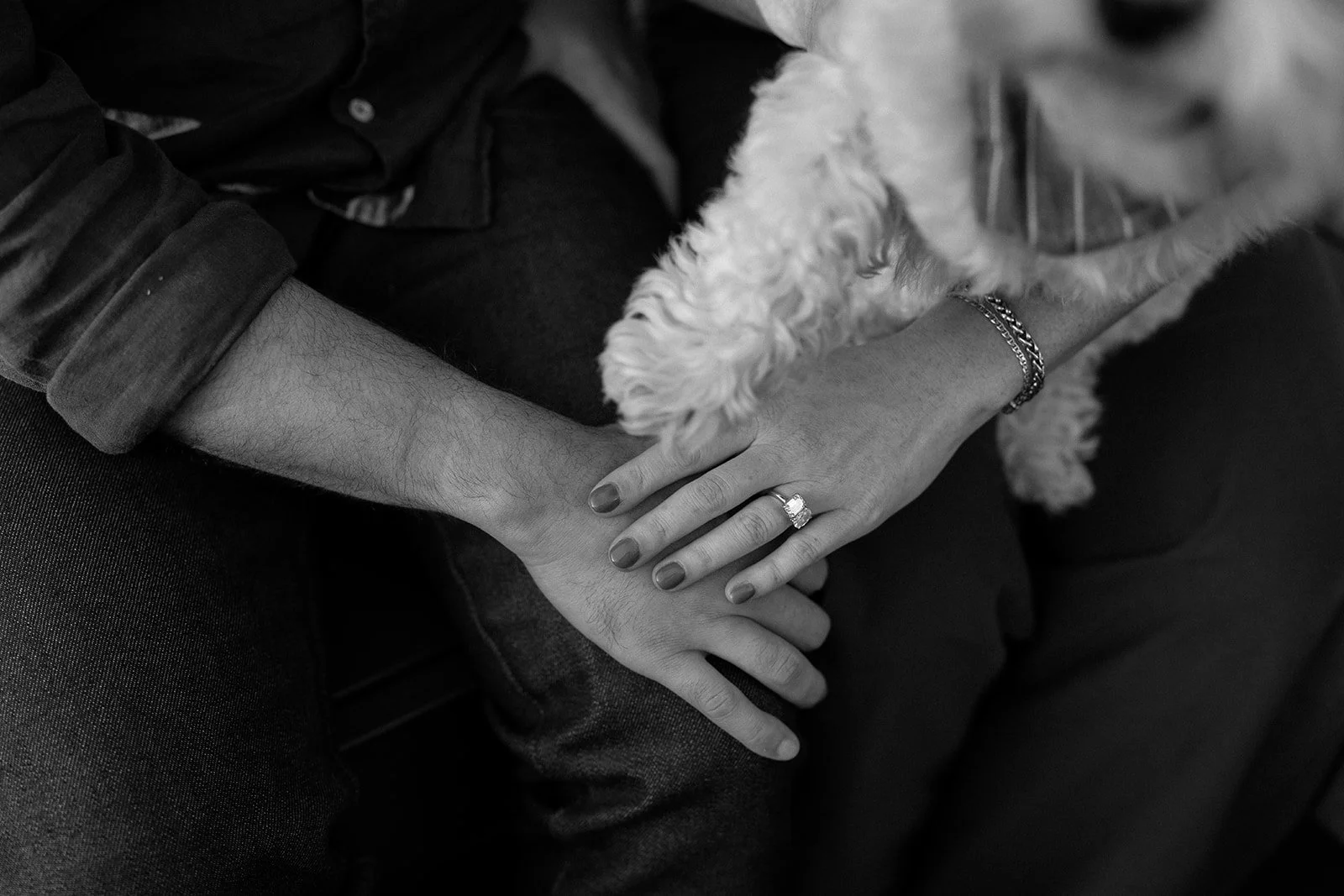 Amanda + Preston_Engagement_Santa Monica_25.11.23_Melissa Rae Photography-92.jpg